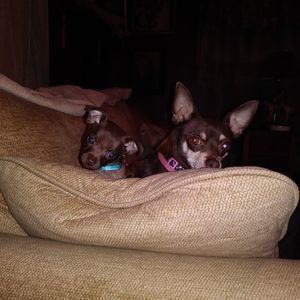 Meet your Posher, Gina